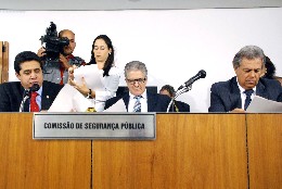 Comissão de Segurança Pública - análise de proposições