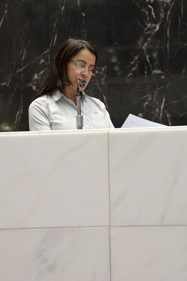 Rosângela abordou a política estadual sobre o voluntariado