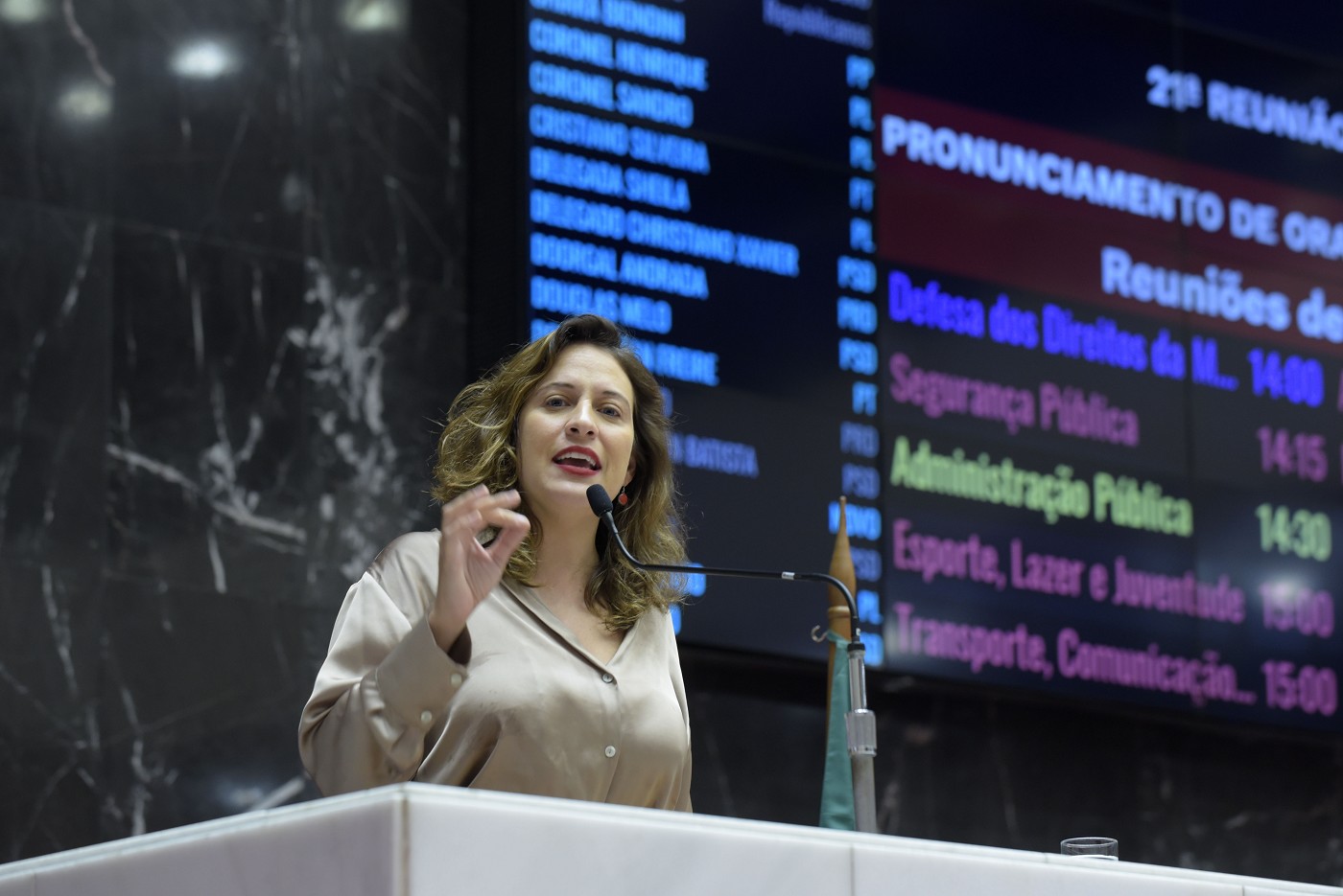 Reunião Ordinária - tarde - análise de proposições