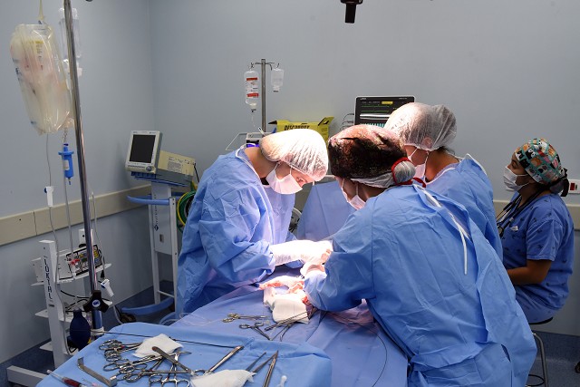 Comissão de Educação, Ciência e Tecnologia - visita à Escola de Veterinária da UFMG pra verificar impactos da corrida de Stock Car no Hospital Veterinário