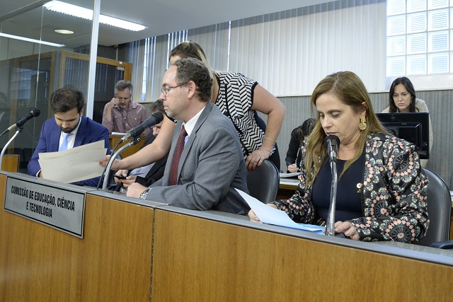 Celise Laviola opinou pela aprovação do projeto na forma do substitutivo nº 2, que apresentou