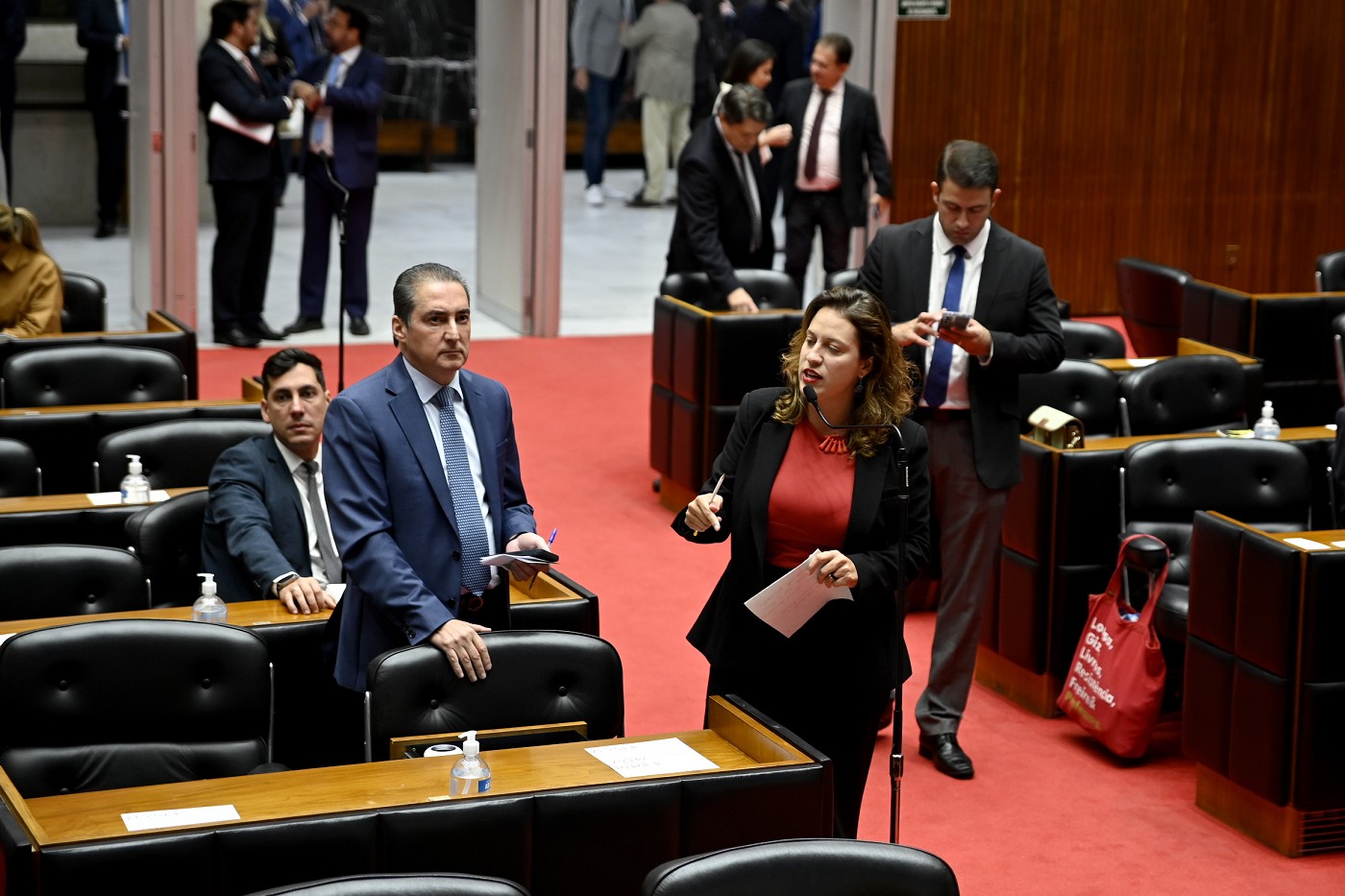 Reunião Extraordinária - manhã - análise de proposições