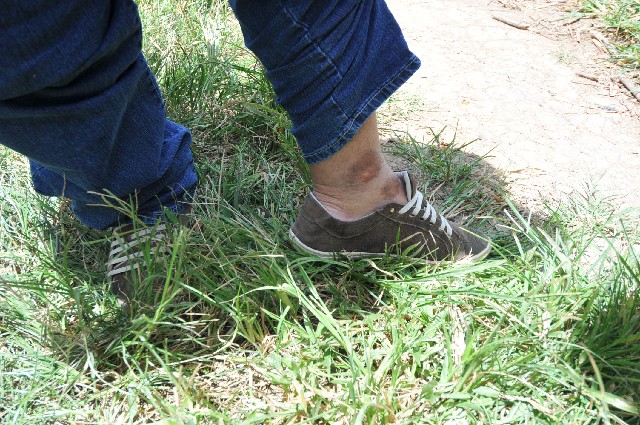Comissão de Meio Ambiente e Desenvolvimento Sustentável - visita à  Lagoa do Matadouro em Sete Lagoas
