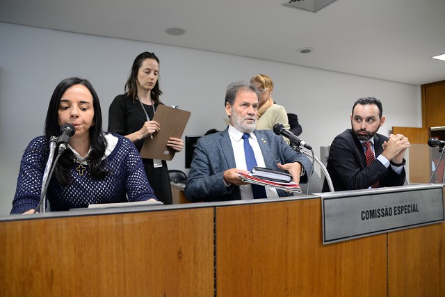 A deputada Ione Pinheiro foi eleita presidente da comissão especial