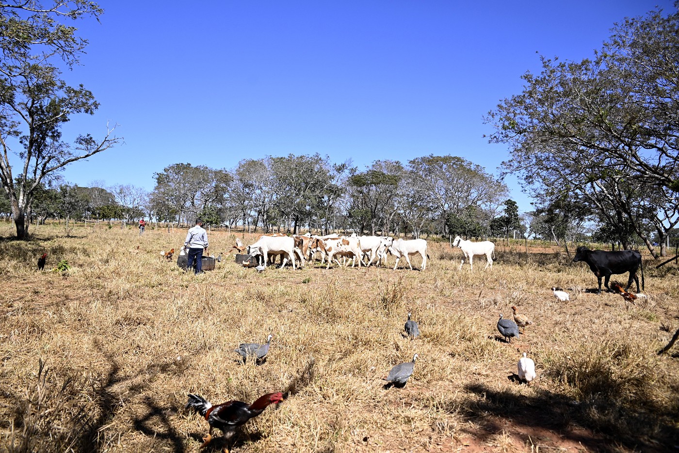 Exposição Seminário Técnico Crise Climática em Minas Gerais - Uberlândia