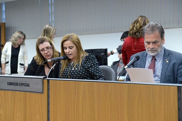 O relator, deputado Durval Ângelo, opinou favoravelmente à aprovação da PEC, na forma do substitutivo nº 2, que apresentou
