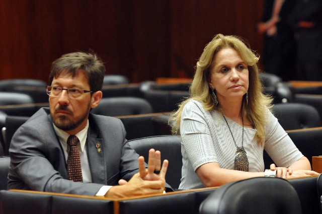 Reunião Ordinária - tarde - análise de proposições