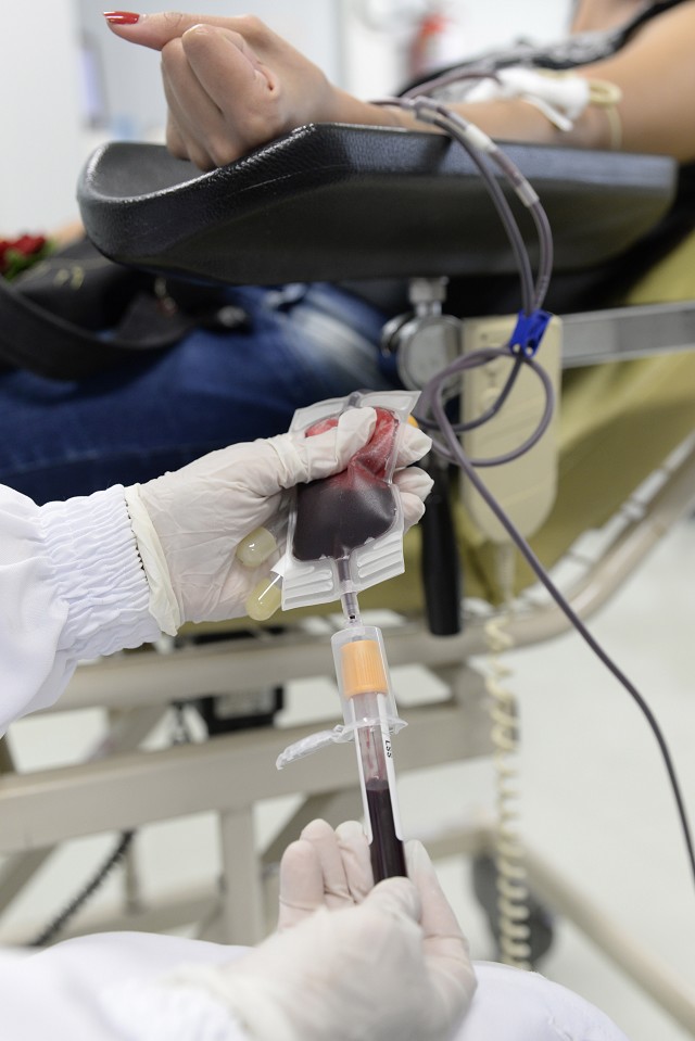 Os grupos sanguíneos definem a compatibilidade entre doador e receptor