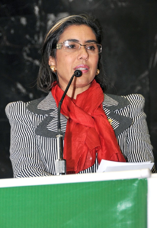 A defensora pública-geral do Estado, Andréa Abritta Garzon Tonet, defendeu ingresso de novos defensores