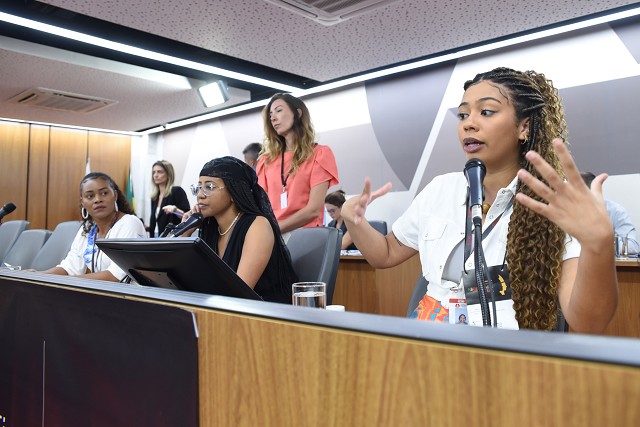 Etapa Final - Seminário Legislativo Estatuto da Igualdade Racial de Minas Gerais - Plenária Final