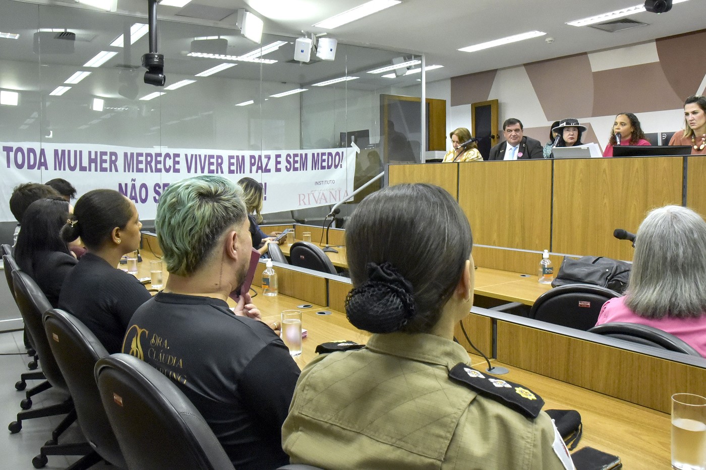 Comissão de Defesa dos Direitos da Mulher - debate sobre resgate da autoestima da mulher em situação de violência doméstica por meio de procedimentos estéticos e cirurgias plásticas