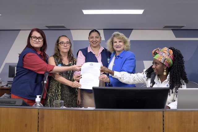 Comissão de Direitos Humanos e Comissão de Defesa dos Direitos da Mulher - debate sobre desafios no enfrentamento à violência política de gênero e à violência moral e sexual no serviço público.