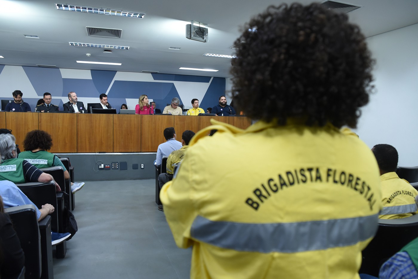 Comissão de Meio Ambiente e Desenvolvimento Sustentável - debate sobre o Previcêndio