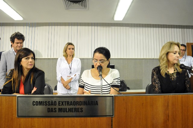 Os requerimentos sobre a Lei Maria da Penha são para a realização de uma audiência e de um debate público