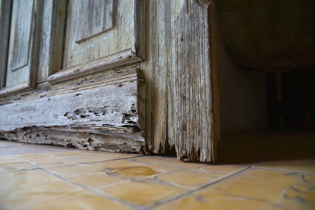 Comissão de Cultura - visita à Igreja Matriz de Santo Antônio em Glaura