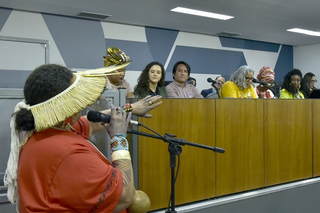 Comissão de Direitos Humanos - debate sobre possíveis violações de direitos humanos contra povos indígenas, comunidades quilombolas e povos ou comunidades tradicionais