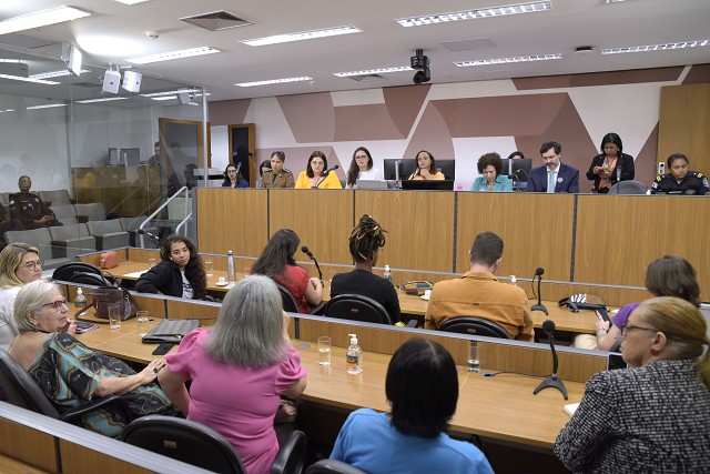 Comissão de Defesa dos Direitos da Mulher - debate sobre o tema feminicídio zero por ocasião da campanha de 21 dias de ativismo pelo fim da violência contra as mulheres