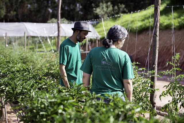 Matéria especial sobre agricultura familiar