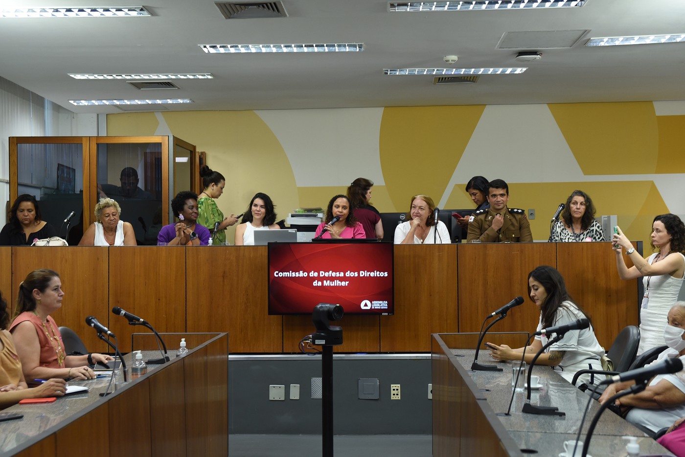 Comissão de Defesa dos Direitos da Mulher - apresentação do balanço das ações da comissão