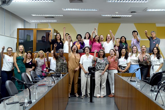 Comissão de Defesa dos Direitos da Mulher - apresentação do balanço das ações da comissão