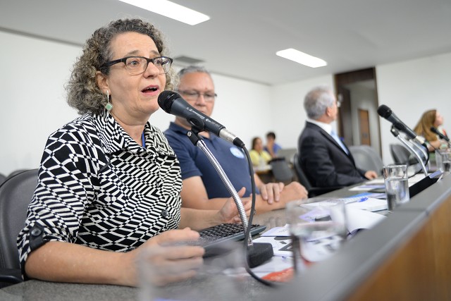 Deborah Akerman listou as seguranças básicas a serem asseguradas pela assistência social