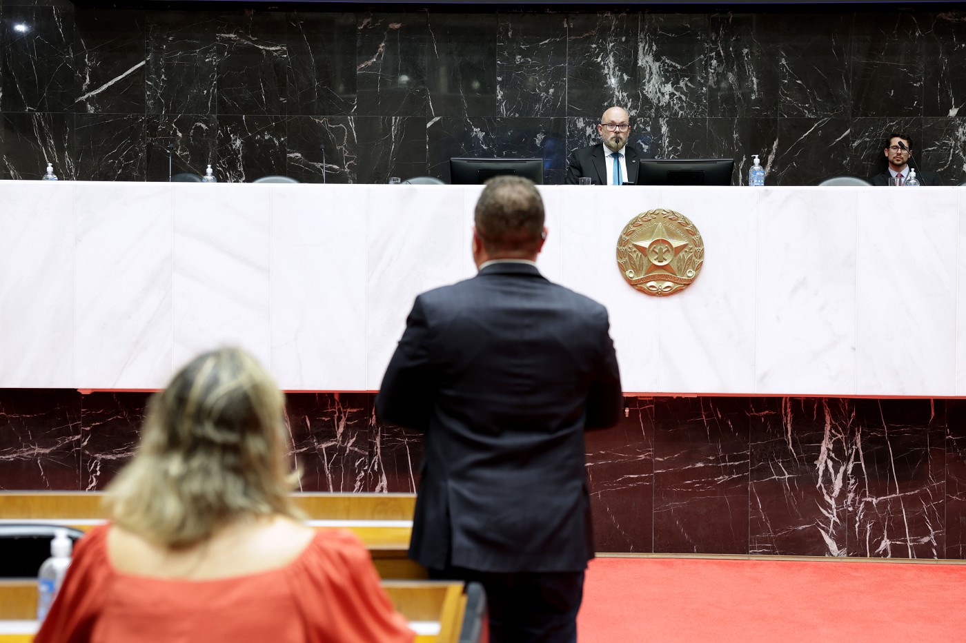 Reunião Ordinária - tarde - análise de proposições