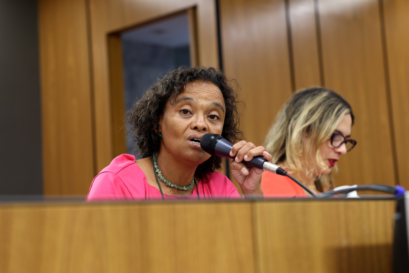 Sempre Vivas 2025 - Ciclo de debates Mulheres e Emergências Climáticas: protagonismo, construção da resiliência e justiça climática - Painel 1