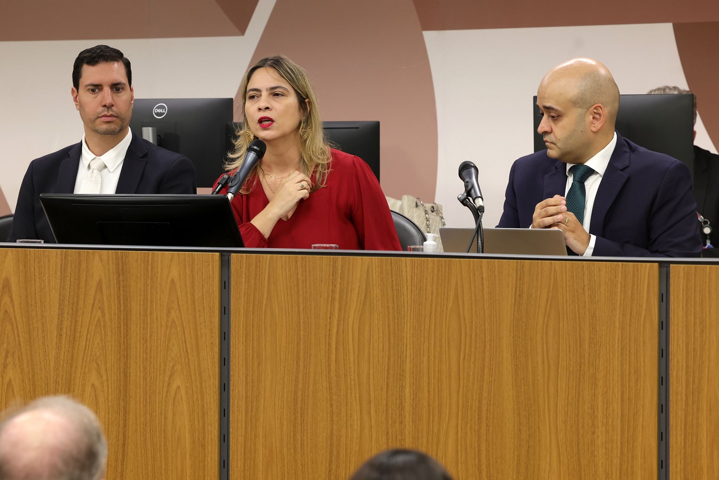 Comissão de Meio Ambiente e Desenvolvimento Sustentável - debate sobre pilhas de rejeitos de minérios
