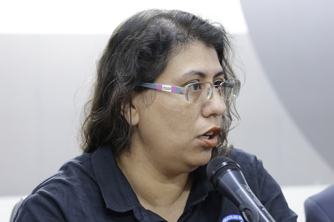 Comissão de Segurança Pública - debate sobre a recomposição salarial de servidores