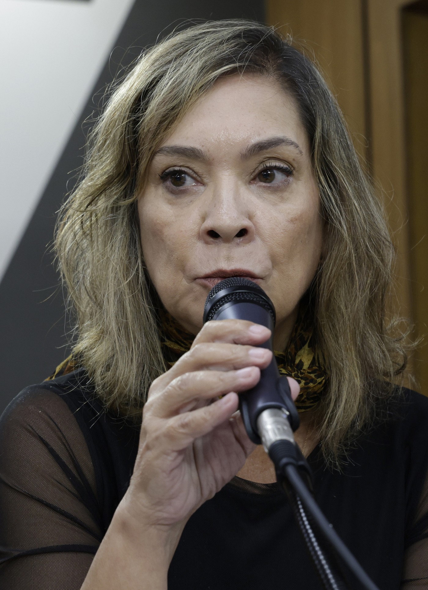 Comissão de Segurança Pública - debate sobre a recomposição salarial de servidores