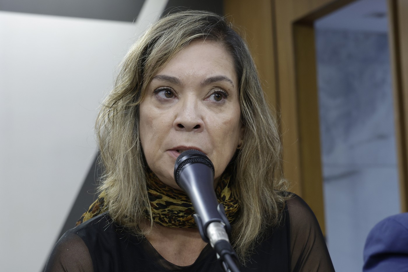 Comissão de Segurança Pública - debate sobre a recomposição salarial de servidores