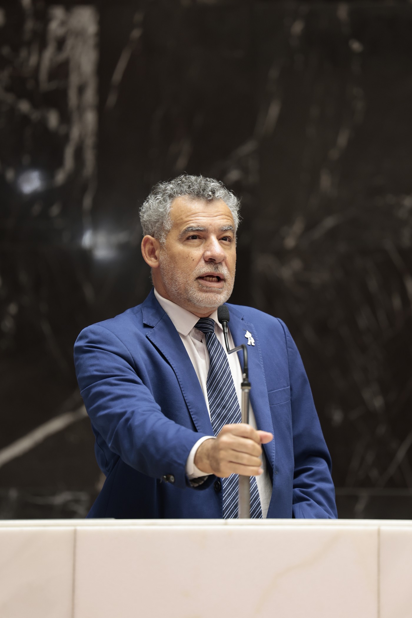 Reunião Ordinária - tarde - orador