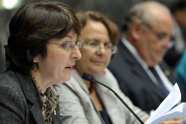 A senadora Ana Rita forneceu dados sobre a violência contra a mulher no Brasil