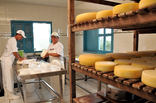 Visita a produtores de queijos artesanais, tendo em vista a publicação da Lei 20.549/12