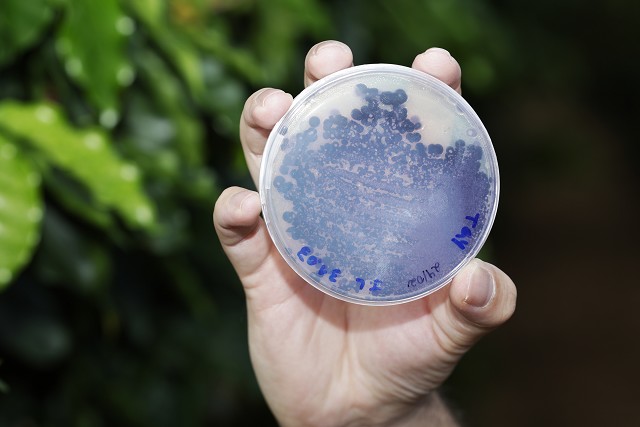 Matéria especial - Visita aos vencedores do Prêmio Assembleia de Incentivo à Inovação - Crise Climática - Empresa Aiper - Fazenda Paraíso