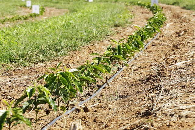 Matéria especial - Visita aos vencedores do Prêmio Assembleia de Incentivo à Inovação - Crise Climática - Empresa Aiper - Fazenda Paraíso