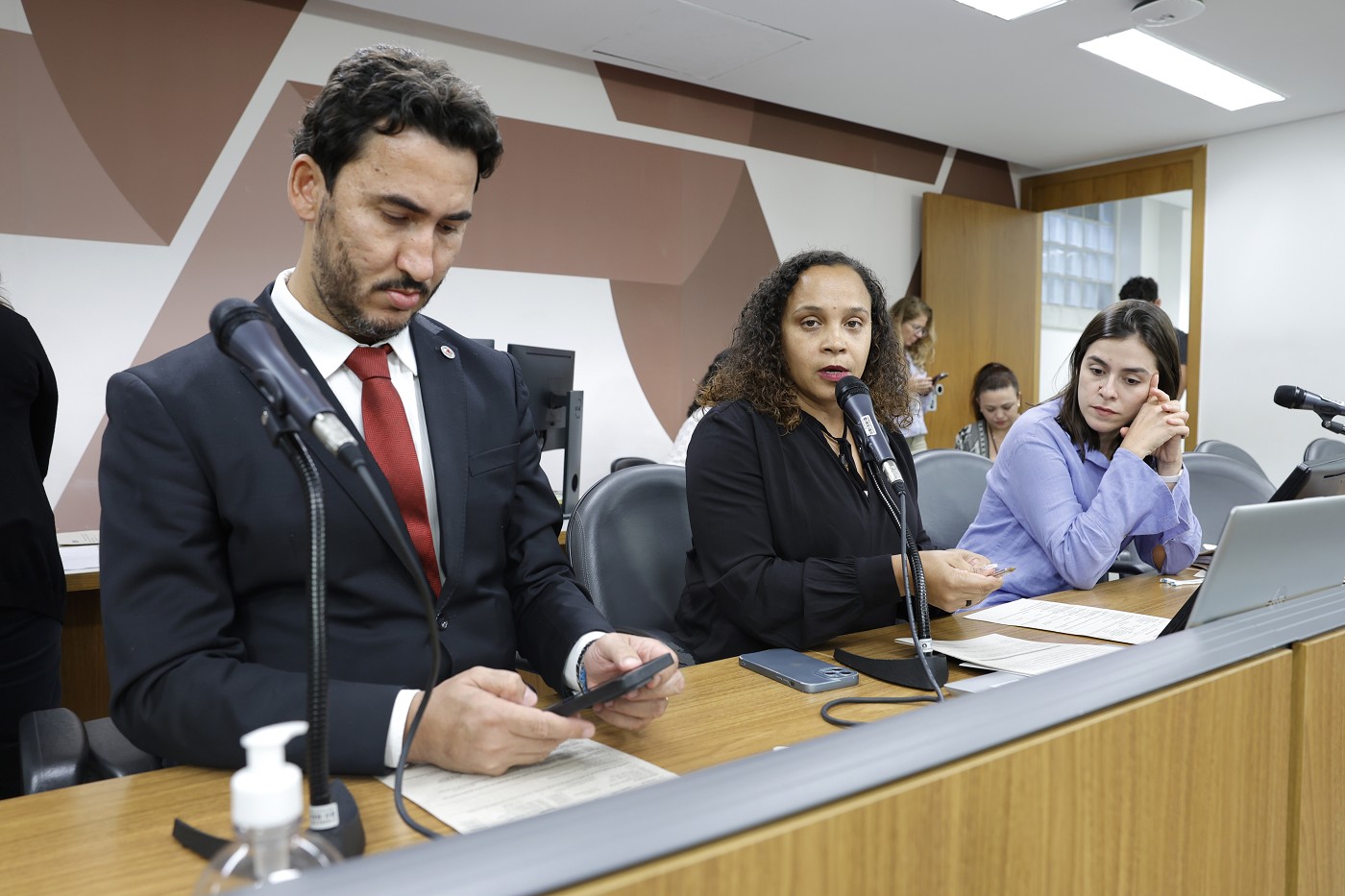 Comissão de Defesa dos Direitos da Mulher - análise de proposições