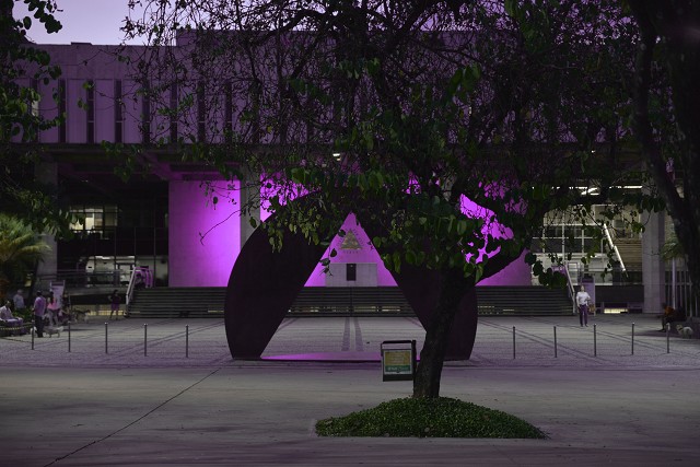 Desde o dia 1º, a fachada de mármore do Palácio da Inconfidência, em frente à Praça da Assembleia, está iluminada com a cor rosa
