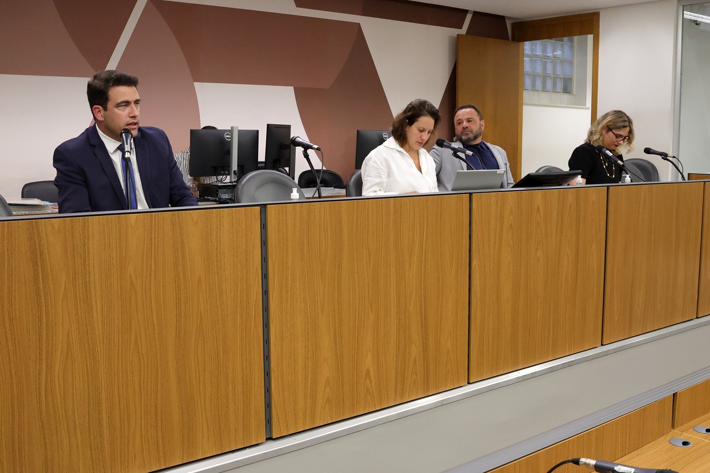 Comissão de Direitos Humanos - análise de proposições