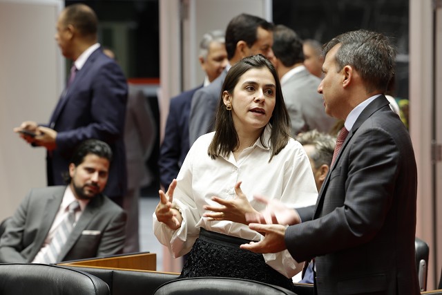 Reunião Extraordinária - Plenário - análise de proposições