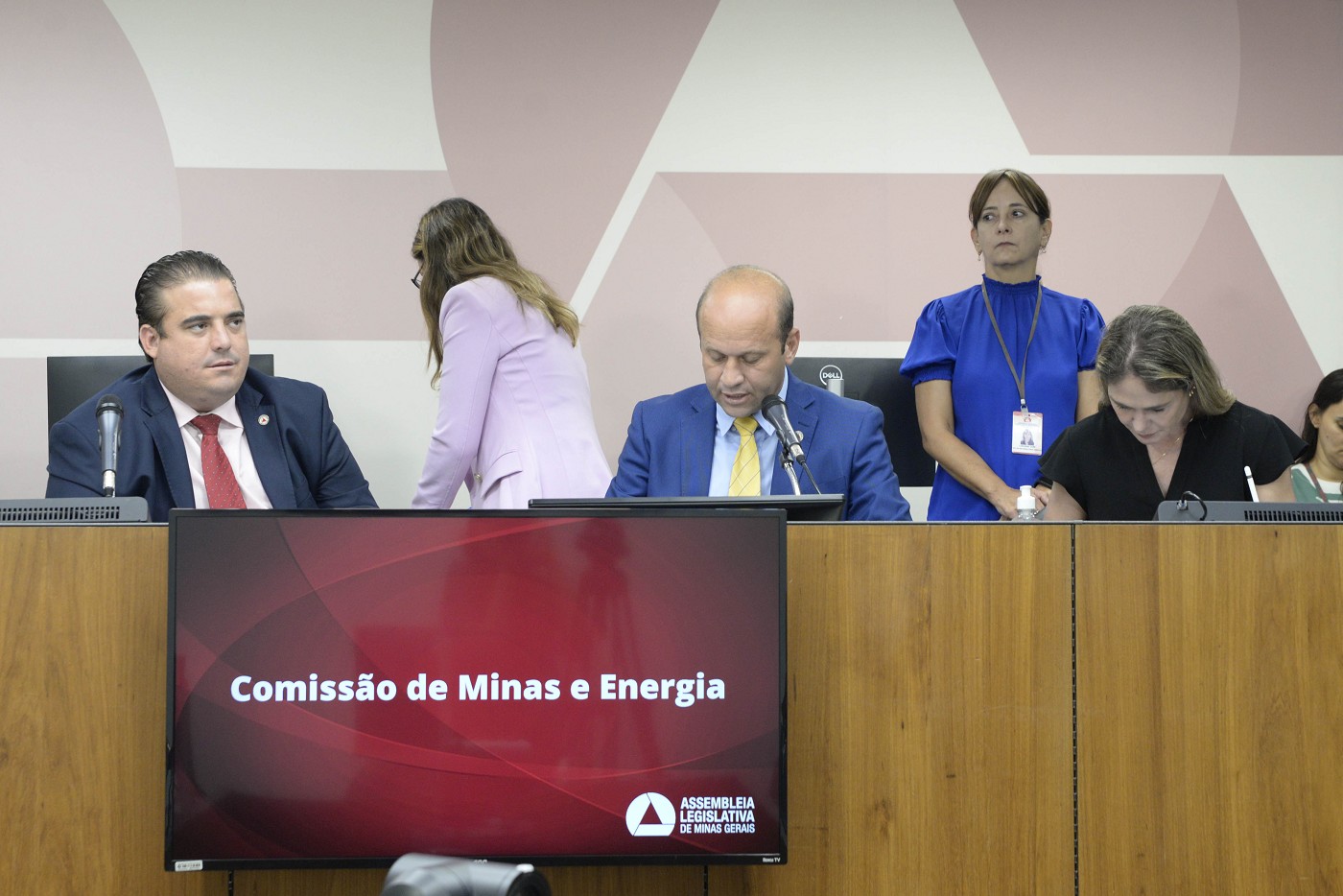 Comissão de Minas e Energia - análise de proposições