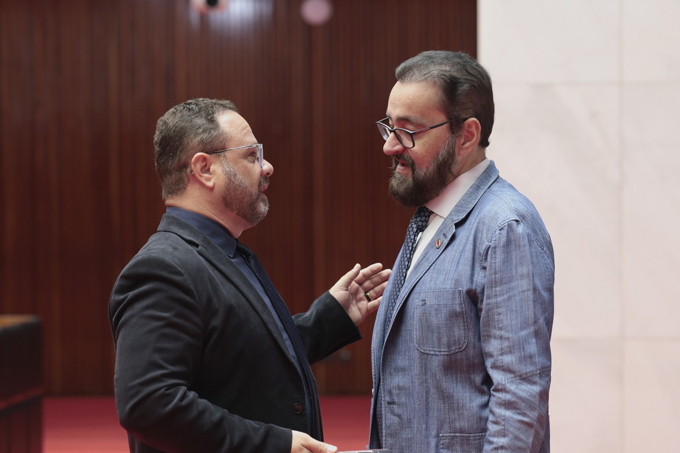 Reunião Extraordinária - manhã - análise de proposições