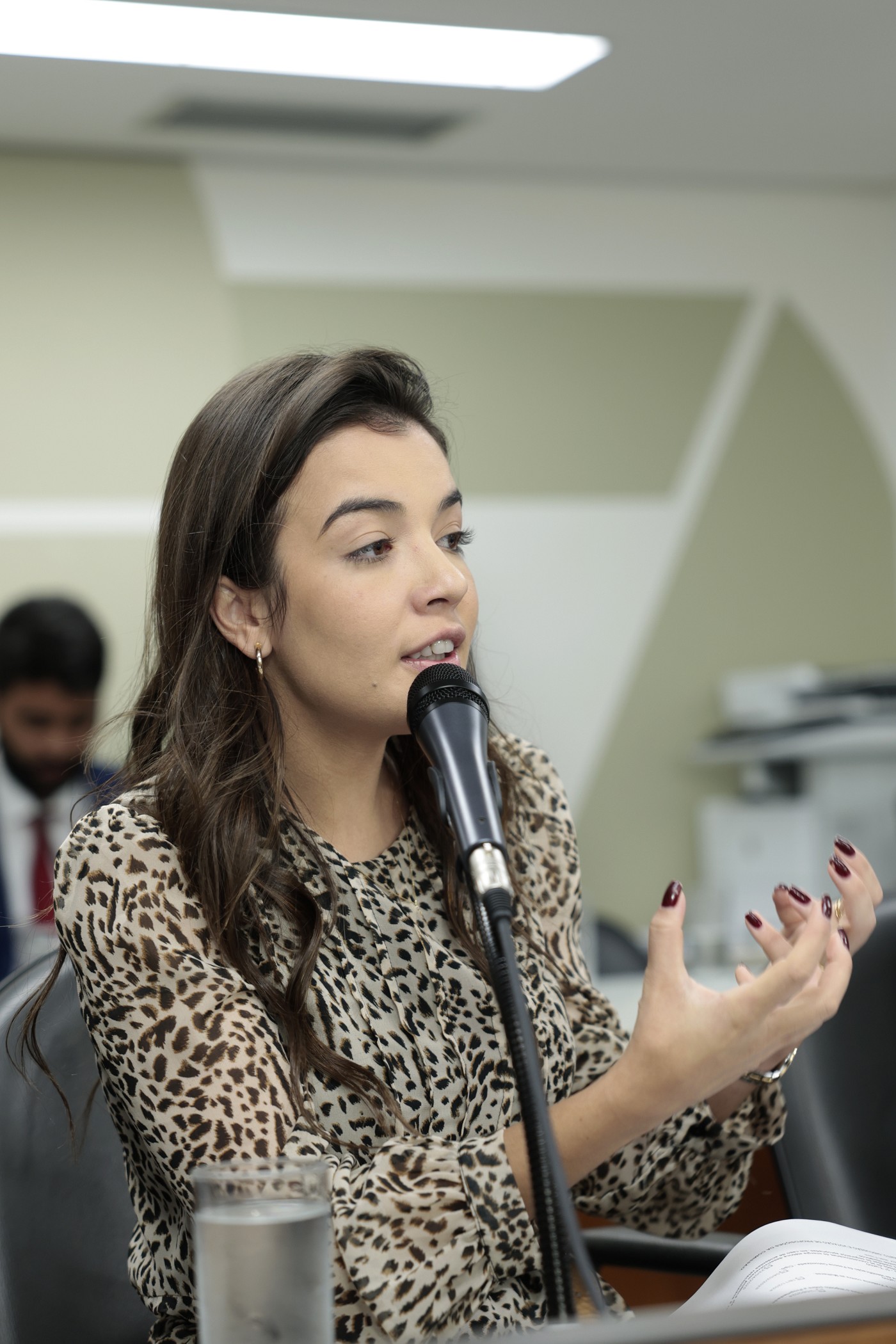 Comissão de Segurança Pública - análise de proposições