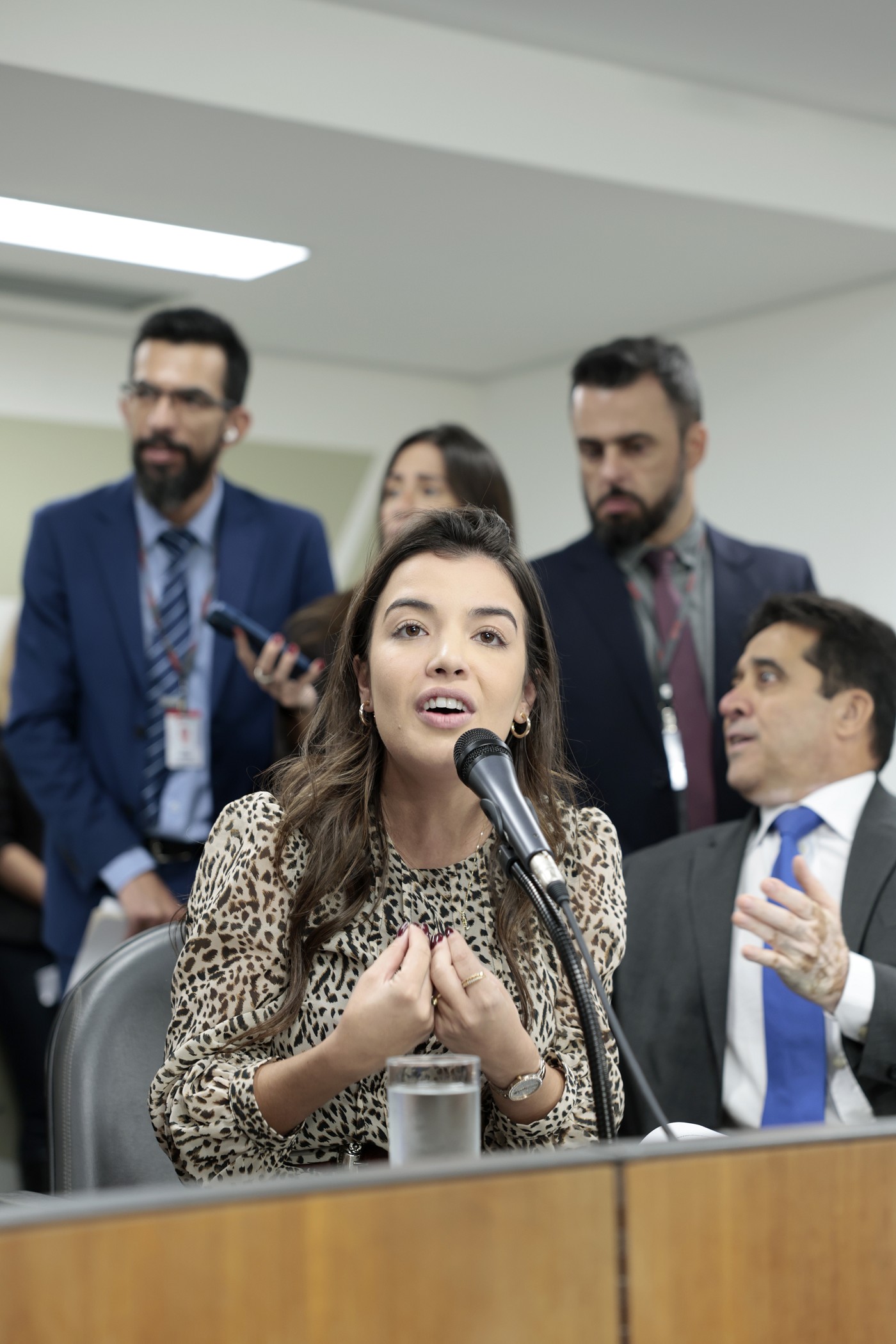 Comissão de Segurança Pública - análise de proposições