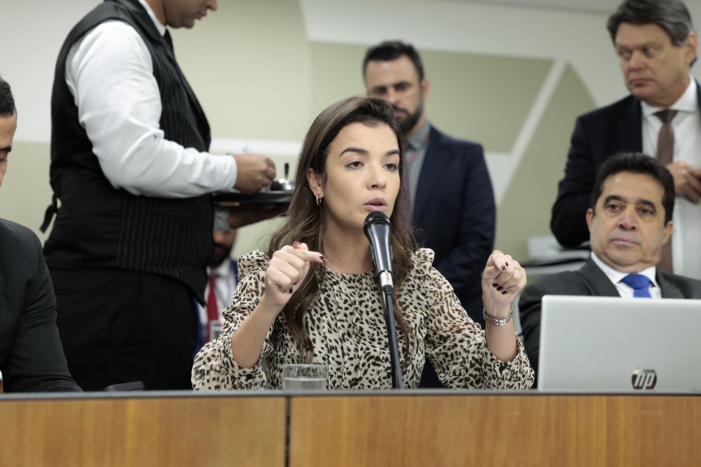 Comissão de Segurança Pública - análise de proposições