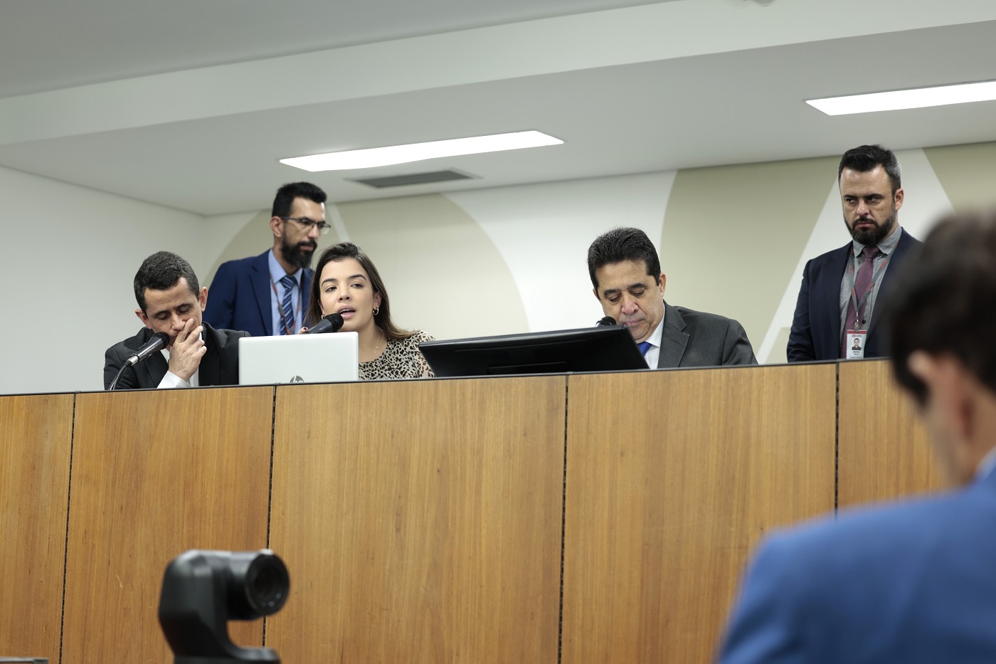 Comissão de Segurança Pública - análise de proposições