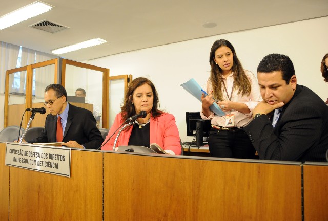 Um dos projetos apreciados prevê balcões de atendimento e bilheterias adequados em edifícios públicos