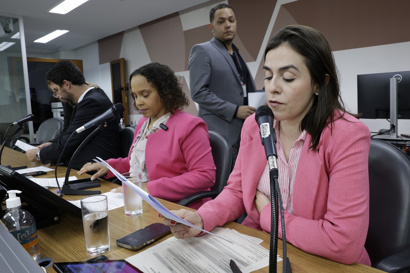Comissão de Defesa dos Direitos da Mulher - análise de proposições
