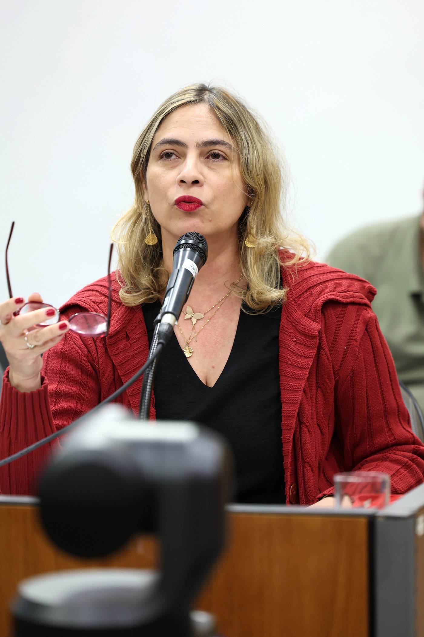 Assembleia Fiscaliza - Comissões de Saúde e Câncer - prestação de contas sobre a SES