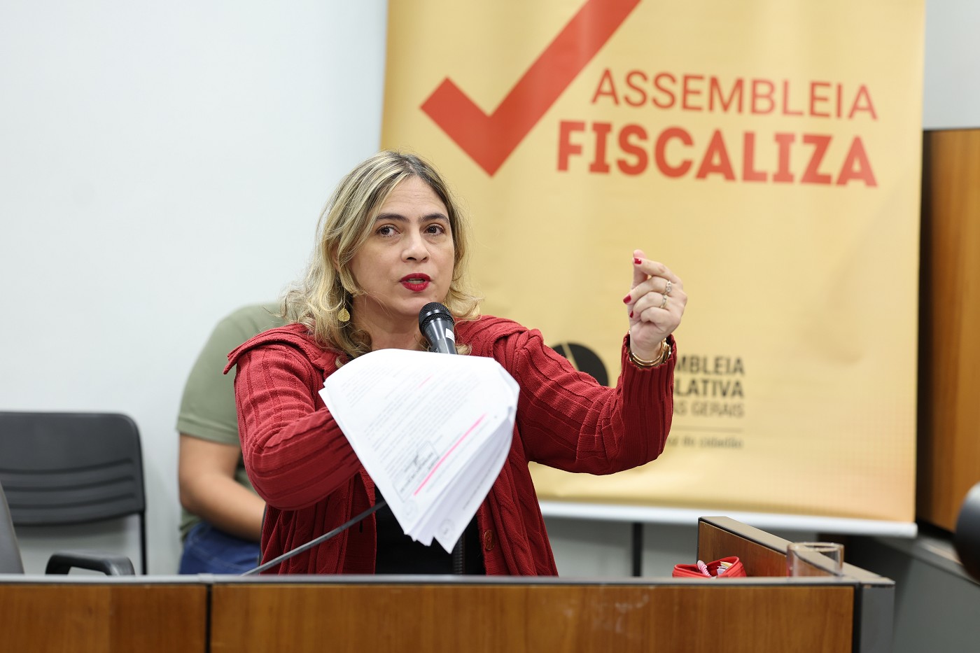 Assembleia Fiscaliza - Comissões de Saúde e Câncer - prestação de contas sobre a SES